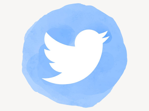 Twitter Fleets Özelliği Nedir? Nasıl Kullanılır?