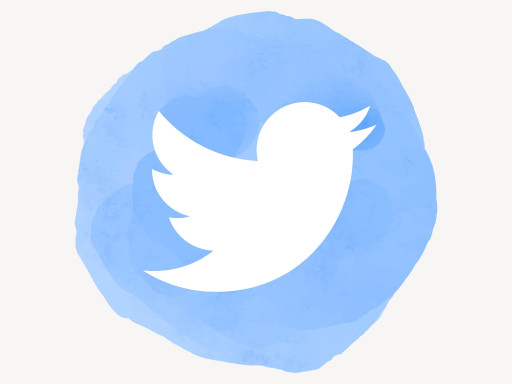 What is the Twitter Fleets Feature? How is It Used?