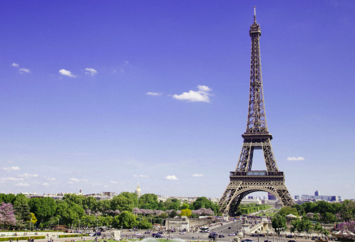 Effective Marketing Strategies to Take Place in the French Market: Nera Marketing Agency