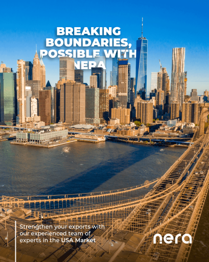 Effective Marketing Strategies to Take Place in the USA Market: Nera Marketing Agency